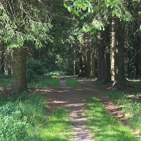 Am Kammweg - Kuehnhaide Casa vacanze Marienberg